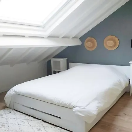 Duplex Cosy Waz'aime Proximite Commerces Et Metro Cormontaigne Ou Gambetta * Lille
