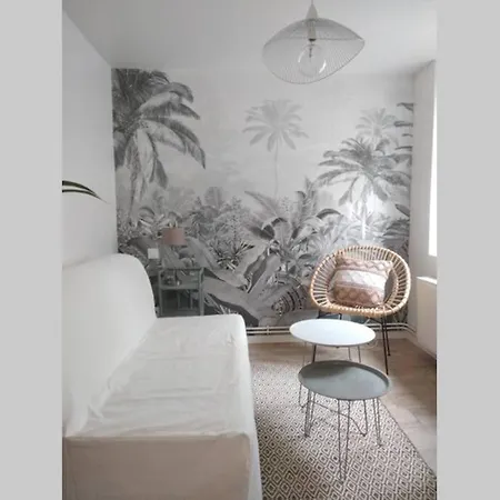 Duplex Cosy Waz'aime Proximite Commerces Et Metro Cormontaigne Ou Gambetta * Lille