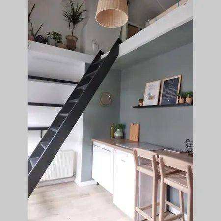 Duplex Cosy Waz'aime Proximite Commerces Et Metro Cormontaigne Ou Gambetta *