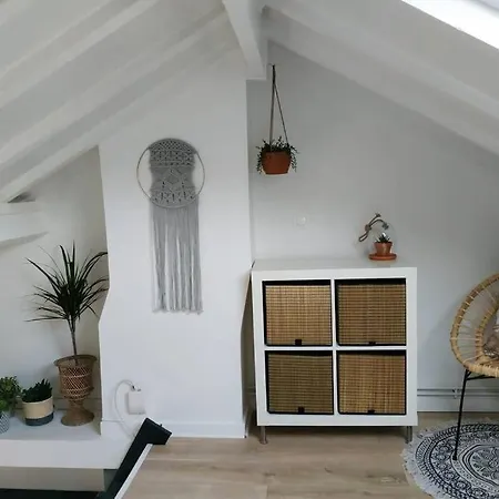 Duplex Cosy Waz'aime Proximite Commerces Et Metro Cormontaigne Ou Gambetta Appartement *